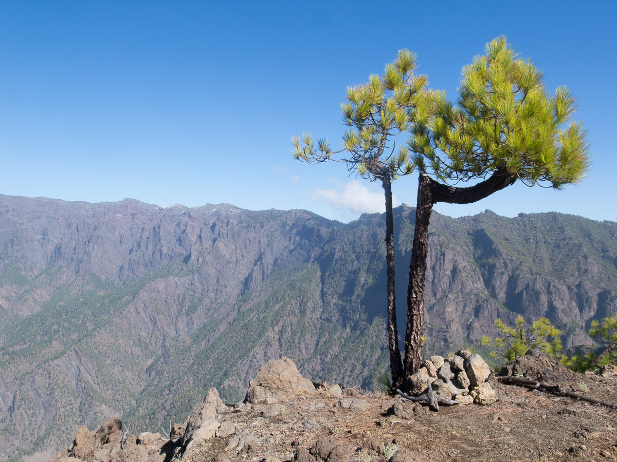 Blick vom Gipfel des Bejenado auf die Caldera de Taburiente